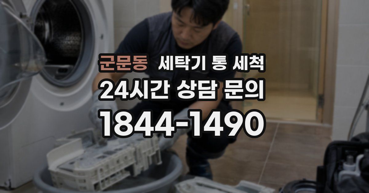 군문동 세탁기 통 세척