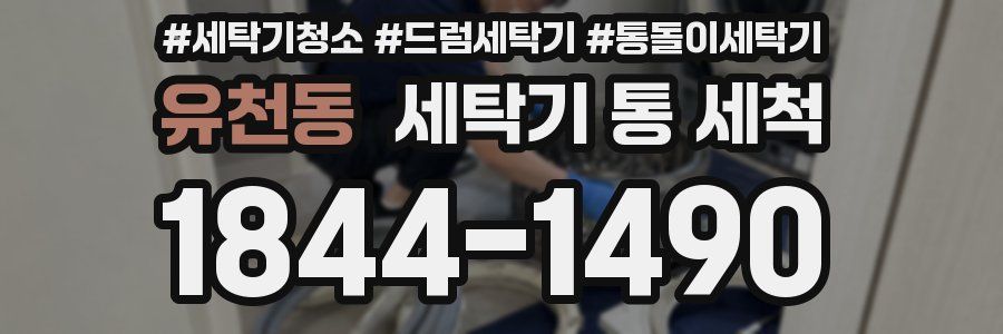 유천동 세탁기 통 세척