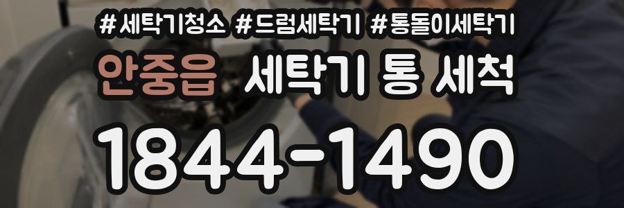 안중읍 세탁기 통 세척