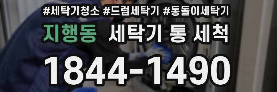 지행동 세탁기 통 세척