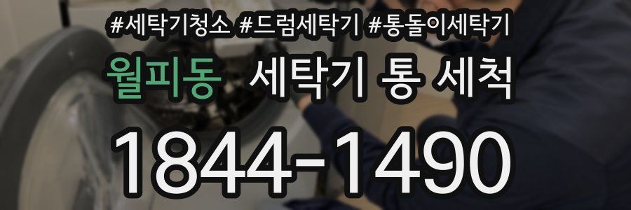 월피동 세탁기 통 세척