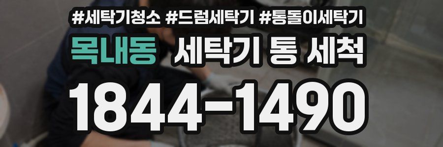 목내동 세탁기 통 세척