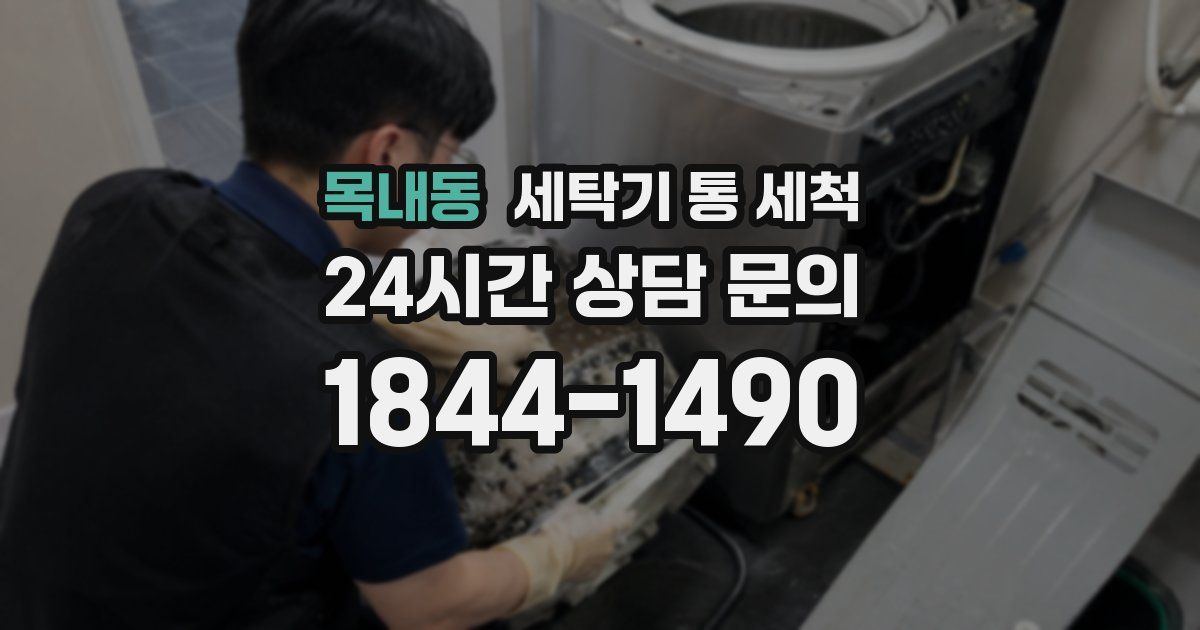 목내동 세탁기 통 세척