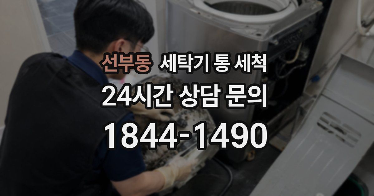 선부동 세탁기 통 세척