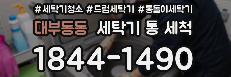 대부동동 세탁기 통 세척
