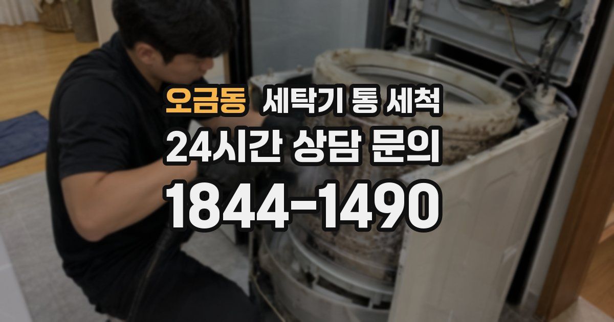 오금동 세탁기 통 세척