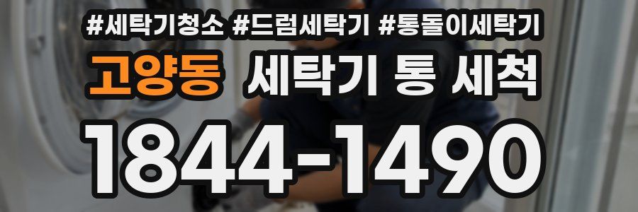 고양동 세탁기 통 세척