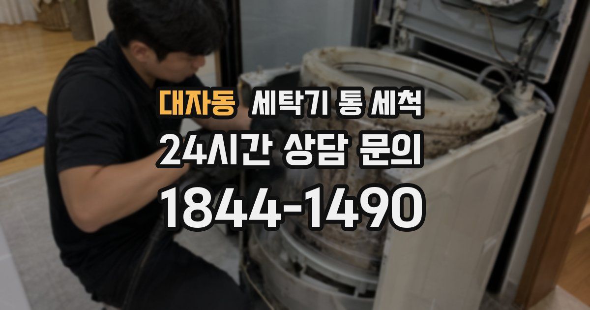 대자동 세탁기 통 세척