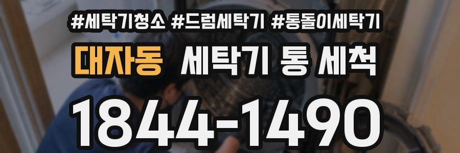 대자동 세탁기 통 세척