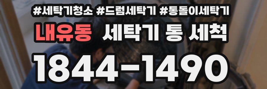 내유동 세탁기 통 세척