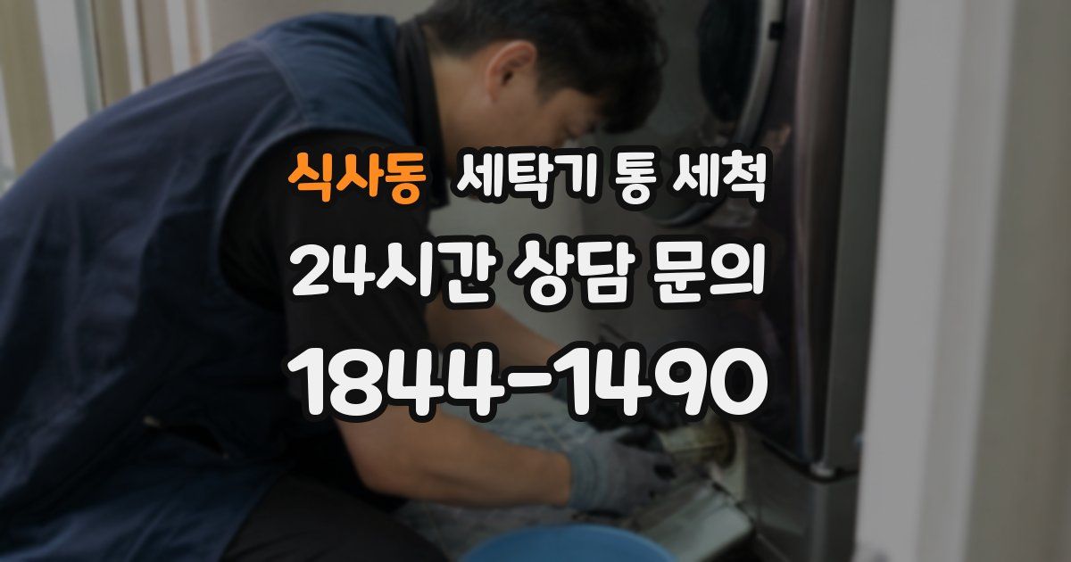 식사동 세탁기 통 세척