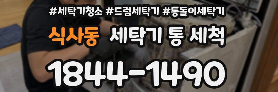 식사동 세탁기 통 세척