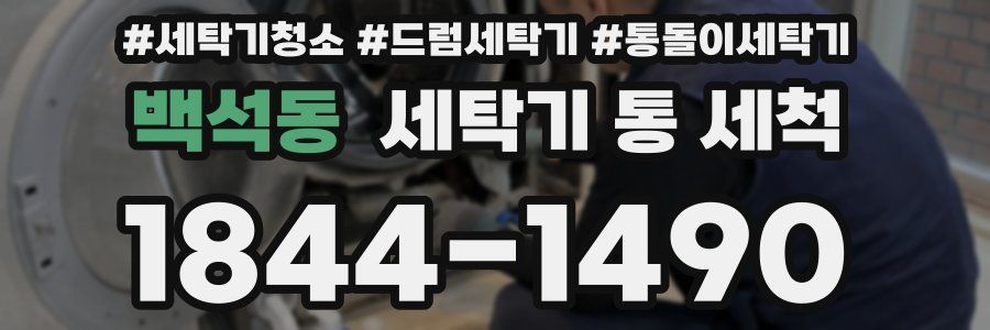 백석동 세탁기 통 세척