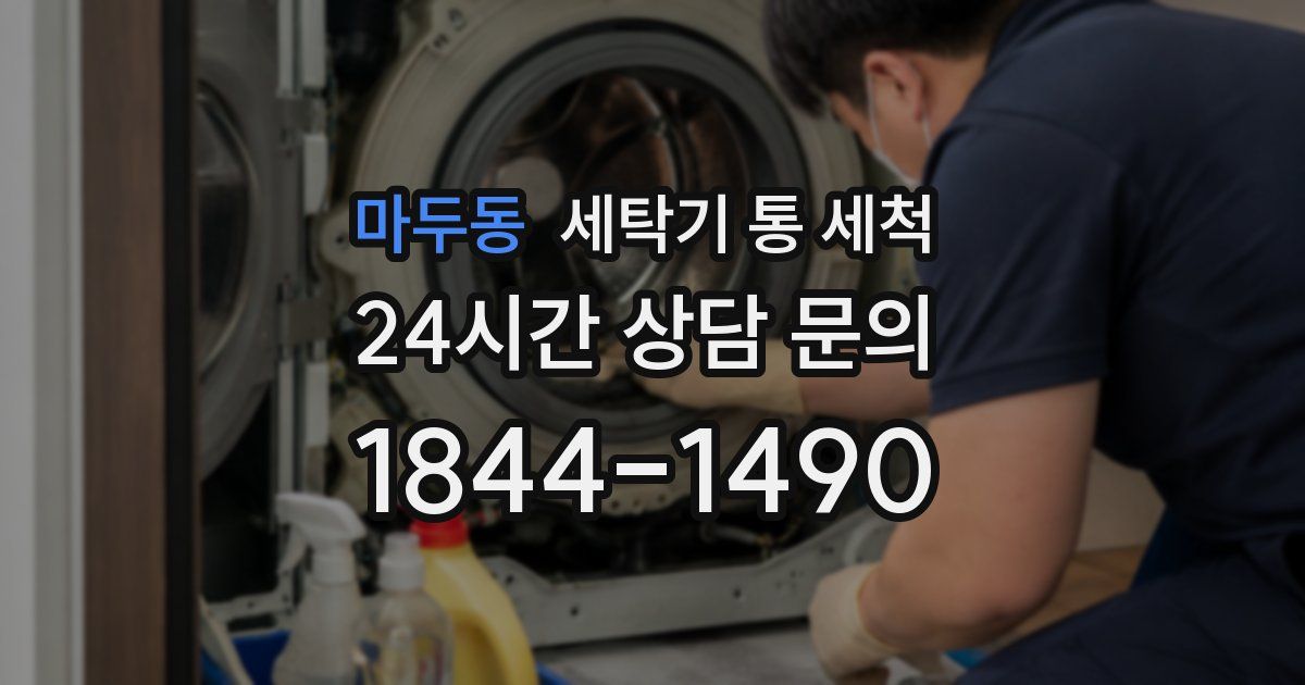 마두동 세탁기 통 세척