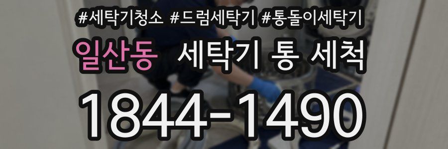 일산동 세탁기 통 세척
