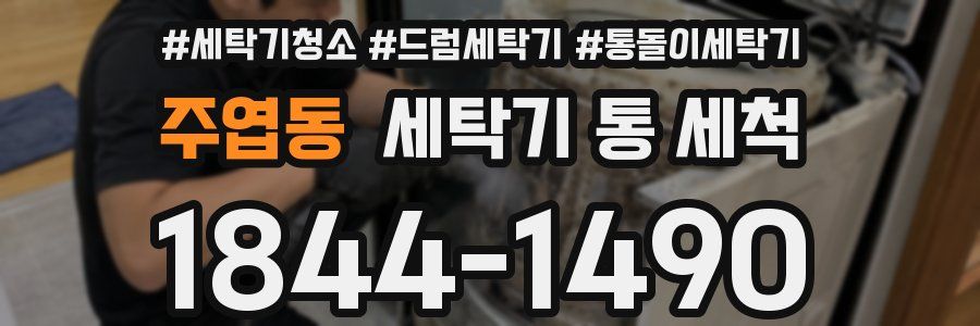 주엽동 세탁기 통 세척