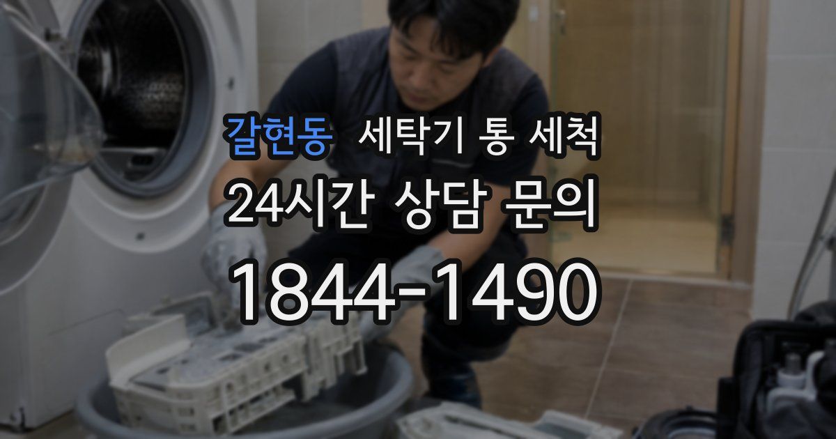 갈현동 세탁기 통 세척