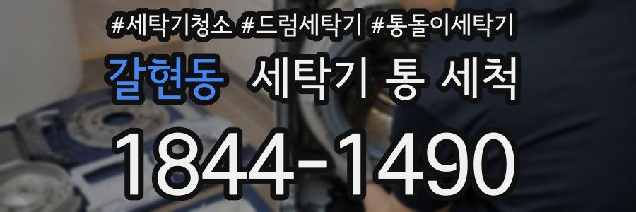 갈현동 세탁기 통 세척