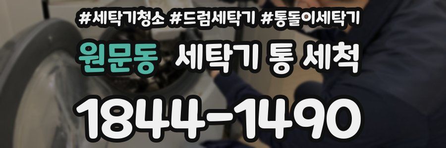 원문동 세탁기 통 세척