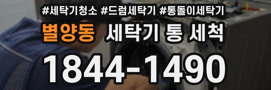 별양동 세탁기 통 세척
