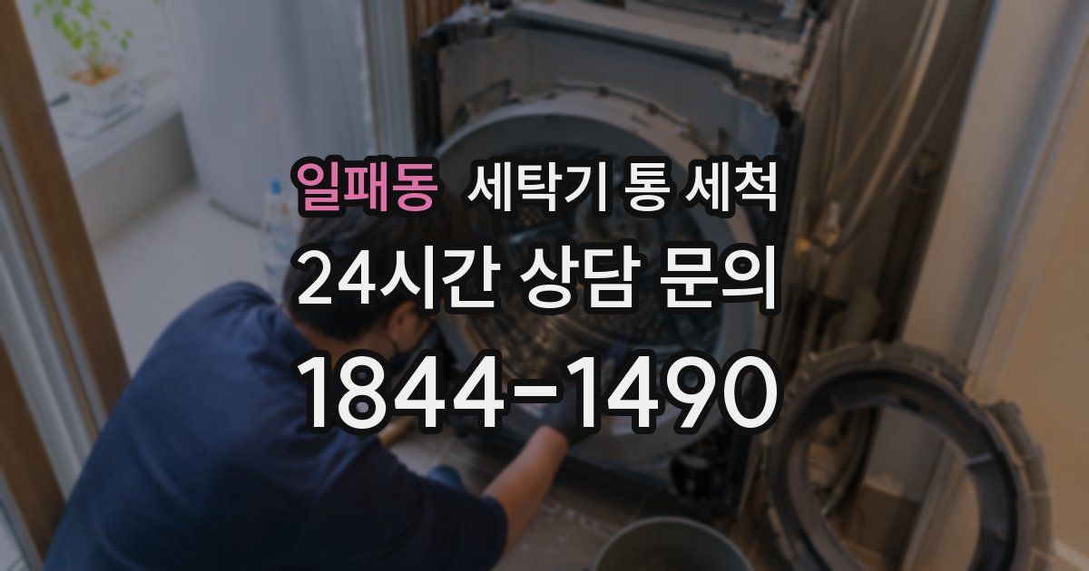 일패동 세탁기 통 세척