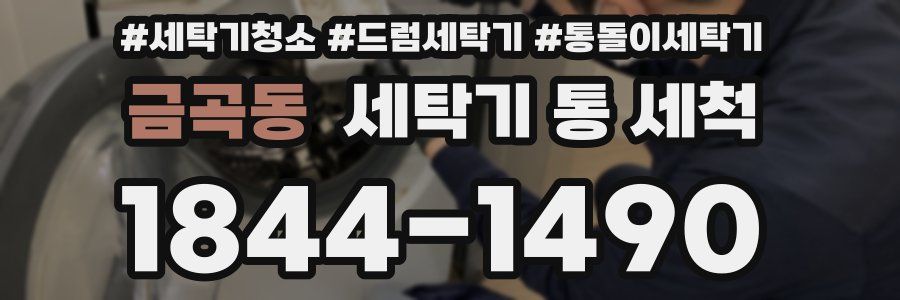 금곡동 세탁기 통 세척
