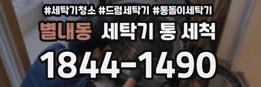 별내동 세탁기 통 세척