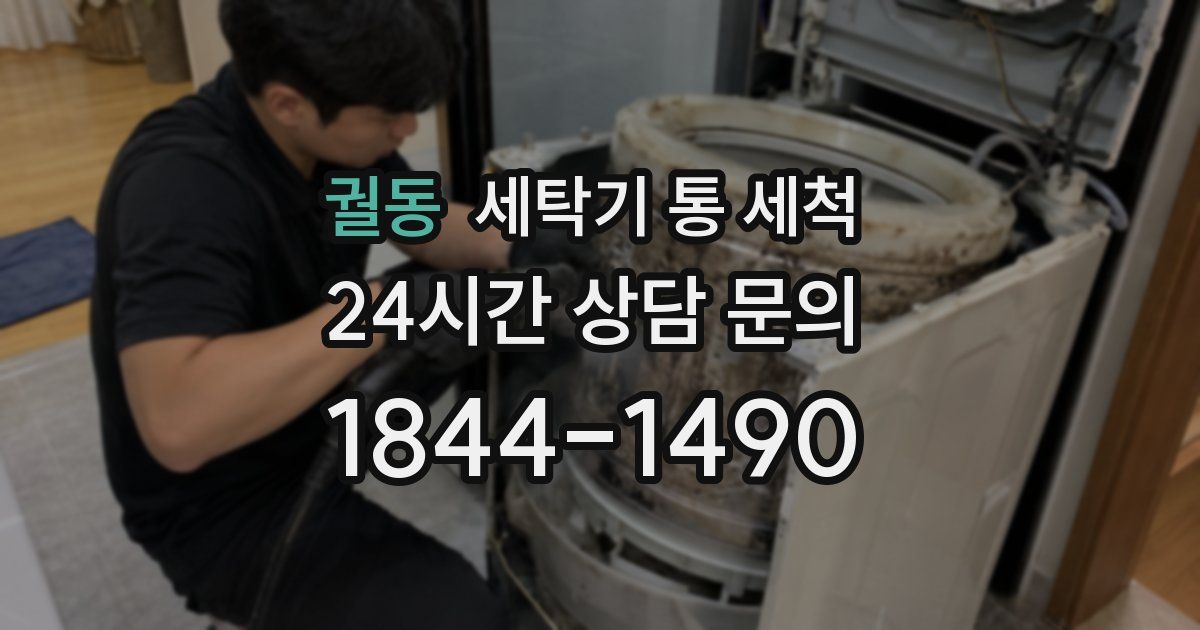 궐동 세탁기 통 세척