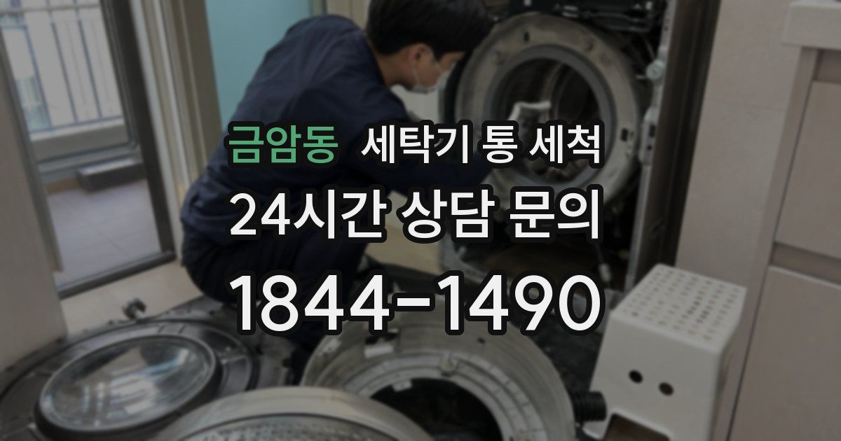금암동 세탁기 통 세척
