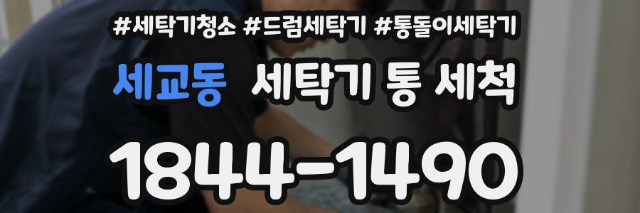 세교동 세탁기 통 세척