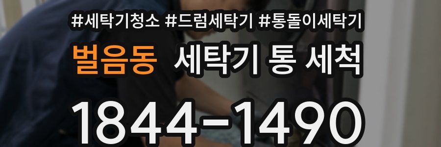 벌음동 세탁기 통 세척