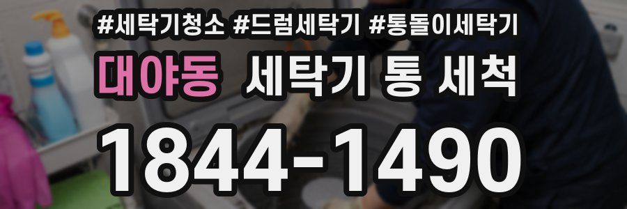 대야동 세탁기 통 세척
