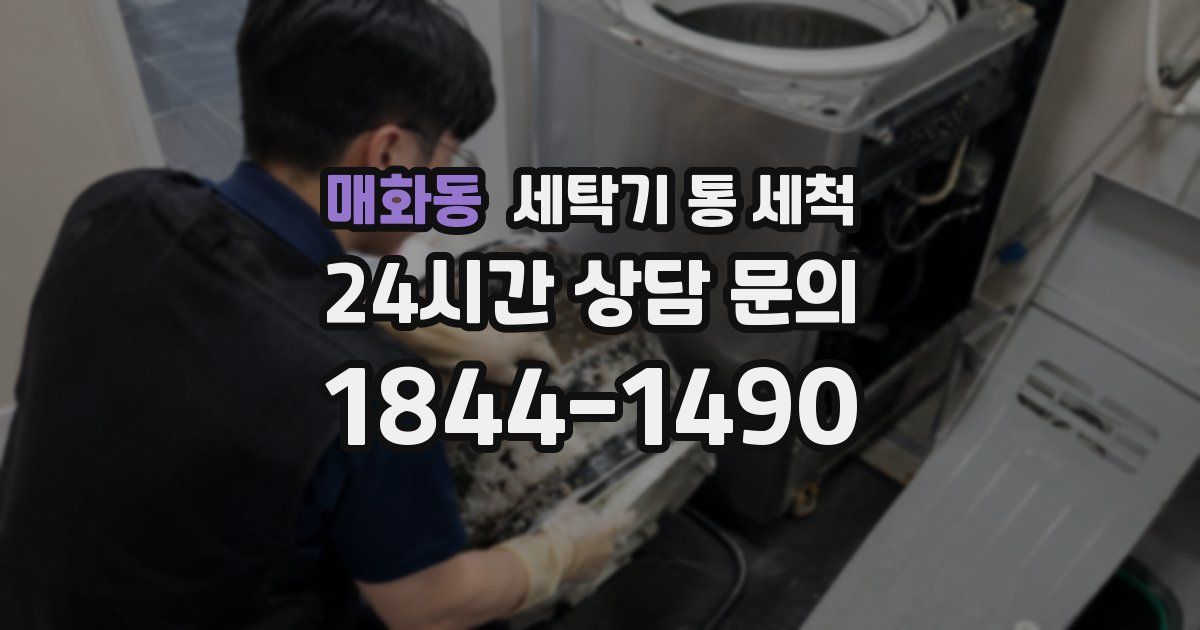 매화동 세탁기 통 세척