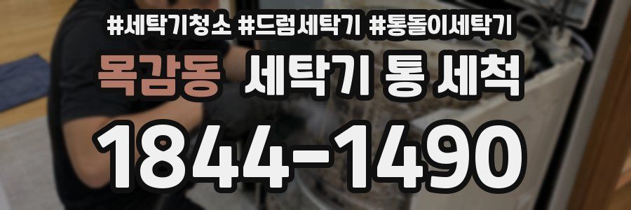 목감동 세탁기 통 세척