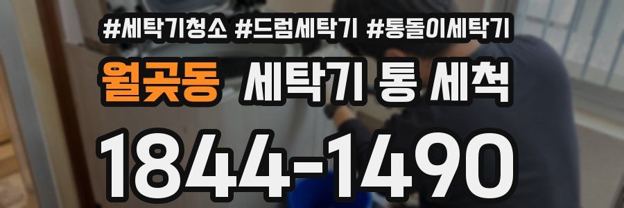 월곶동 세탁기 통 세척
