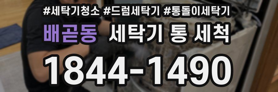 배곧동 세탁기 통 세척