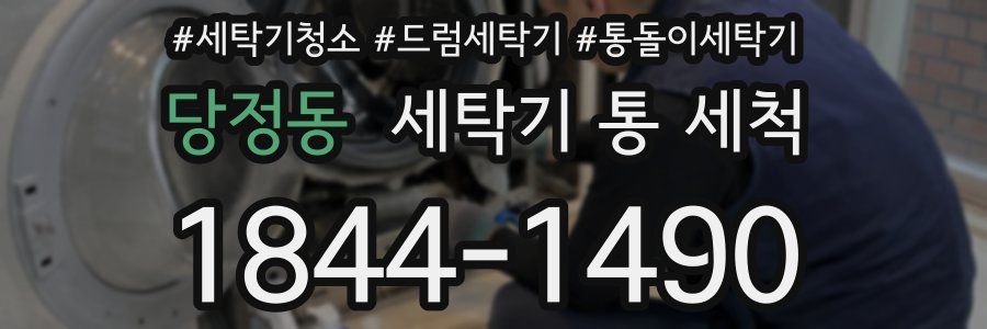 당정동 세탁기 통 세척