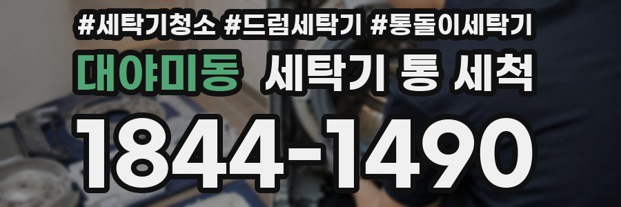 대야미동 세탁기 통 세척