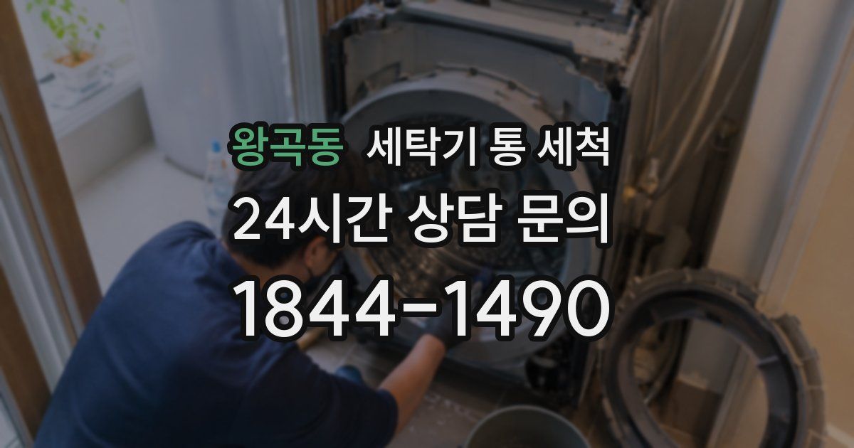 왕곡동 세탁기 통 세척