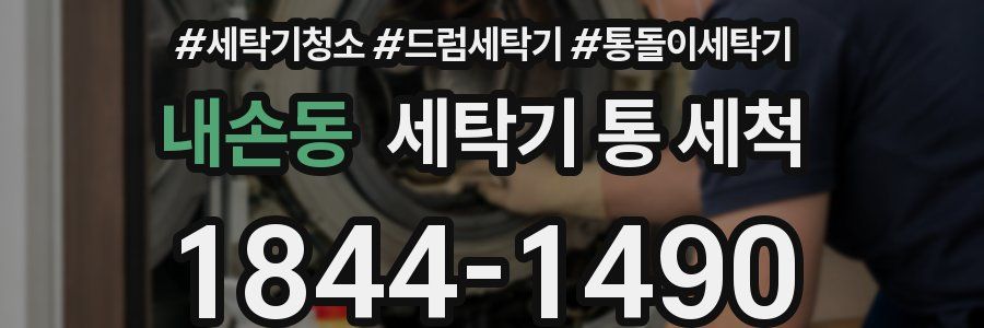 내손동 세탁기 통 세척