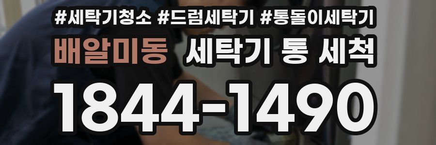 배알미동 세탁기 통 세척