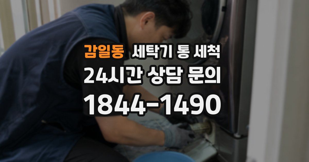 감일동 세탁기 통 세척
