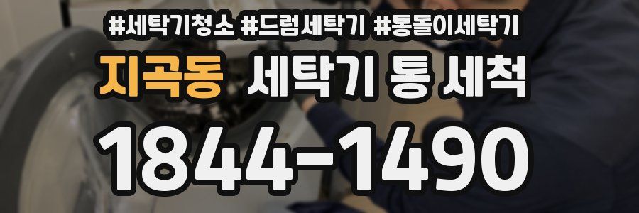지곡동 세탁기 통 세척