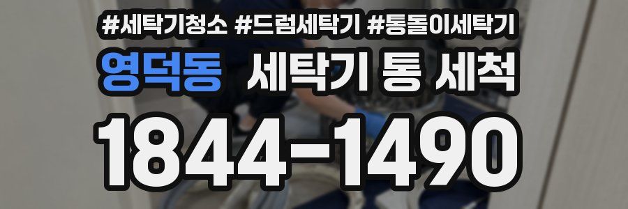 영덕동 세탁기 통 세척