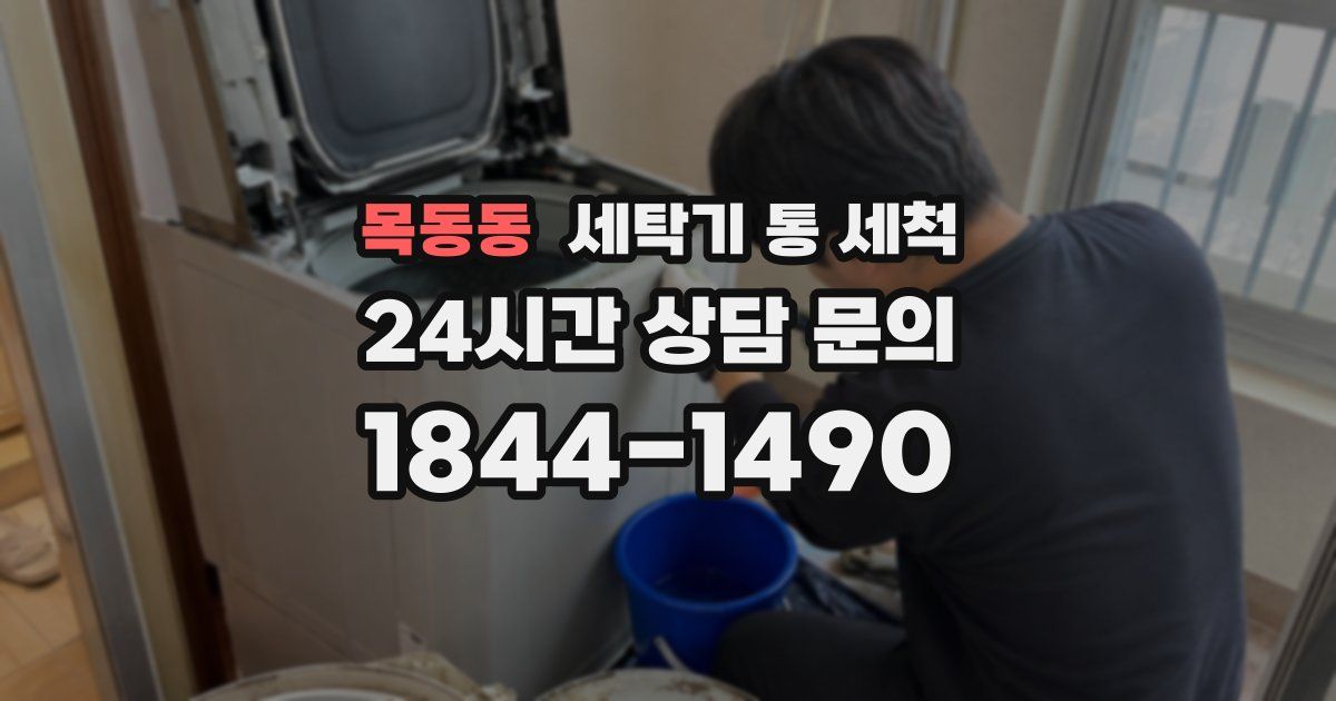 목동동 세탁기 통 세척
