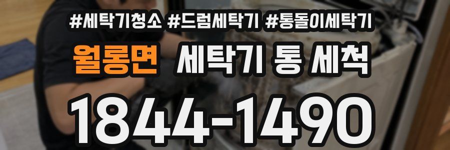 월롱면 세탁기 통 세척