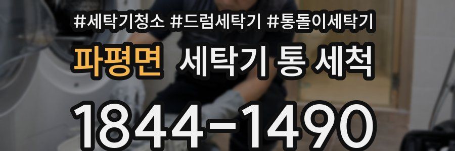 파평면 세탁기 통 세척