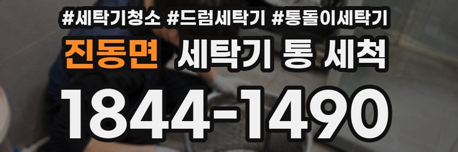 진동면 세탁기 통 세척