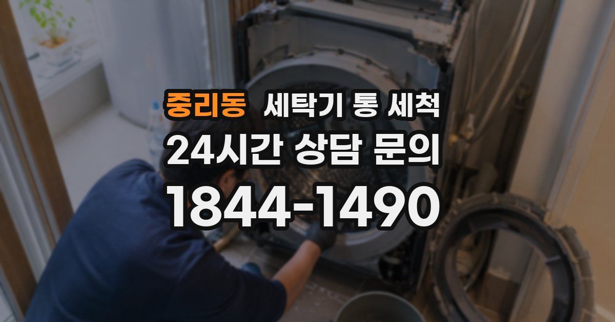 중리동 세탁기 통 세척