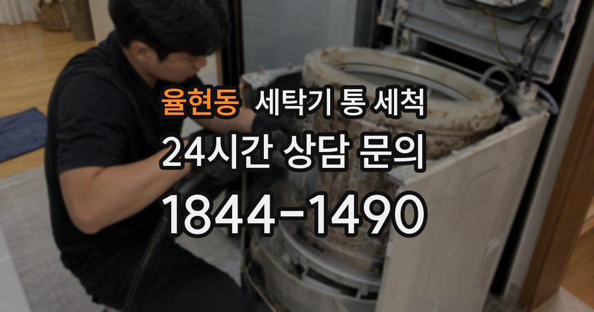 율현동 세탁기 통 세척